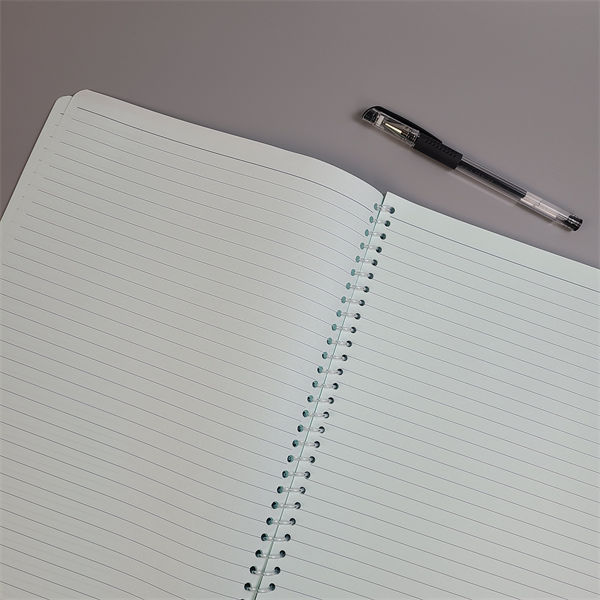 Cleanroom Notebook02